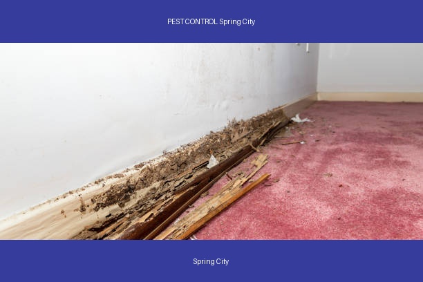 PEST CONTROL Spring City